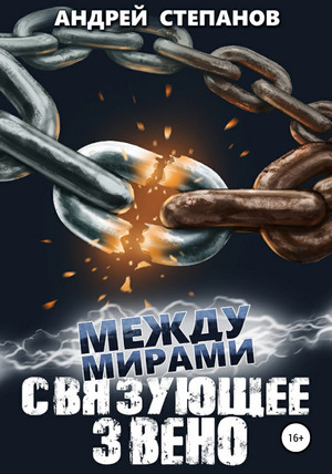 Между мирами. Связующее звено - Андрей Степанов (7)