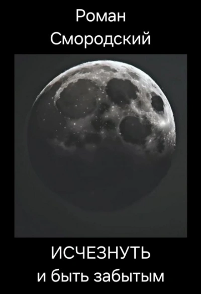 Исчезнуть и быть забытым - Роман Смородский