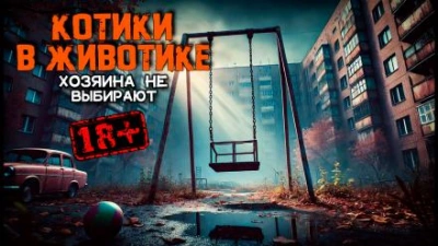 Котики в животике - Василий Завадский