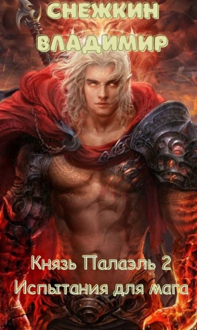 Испытания для мага - Владимир Снежкин