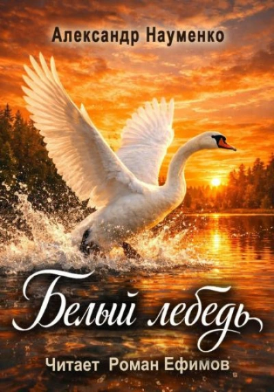 Белый лебедь - Науменко Александр