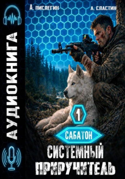 Системный приручитель 1 - Пислегин Алексей